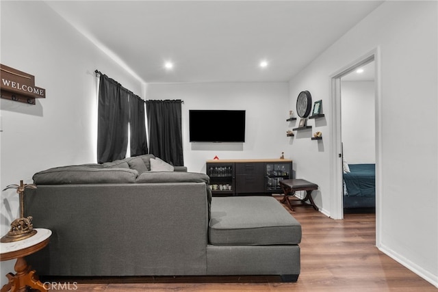 living room featuring hardwood / wood-style flooring