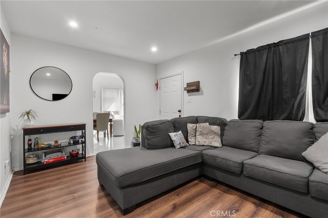 living room featuring wood-type flooring