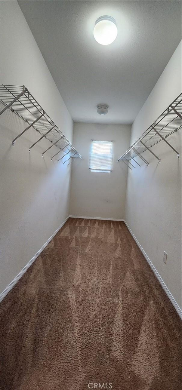 spacious closet with carpet floors