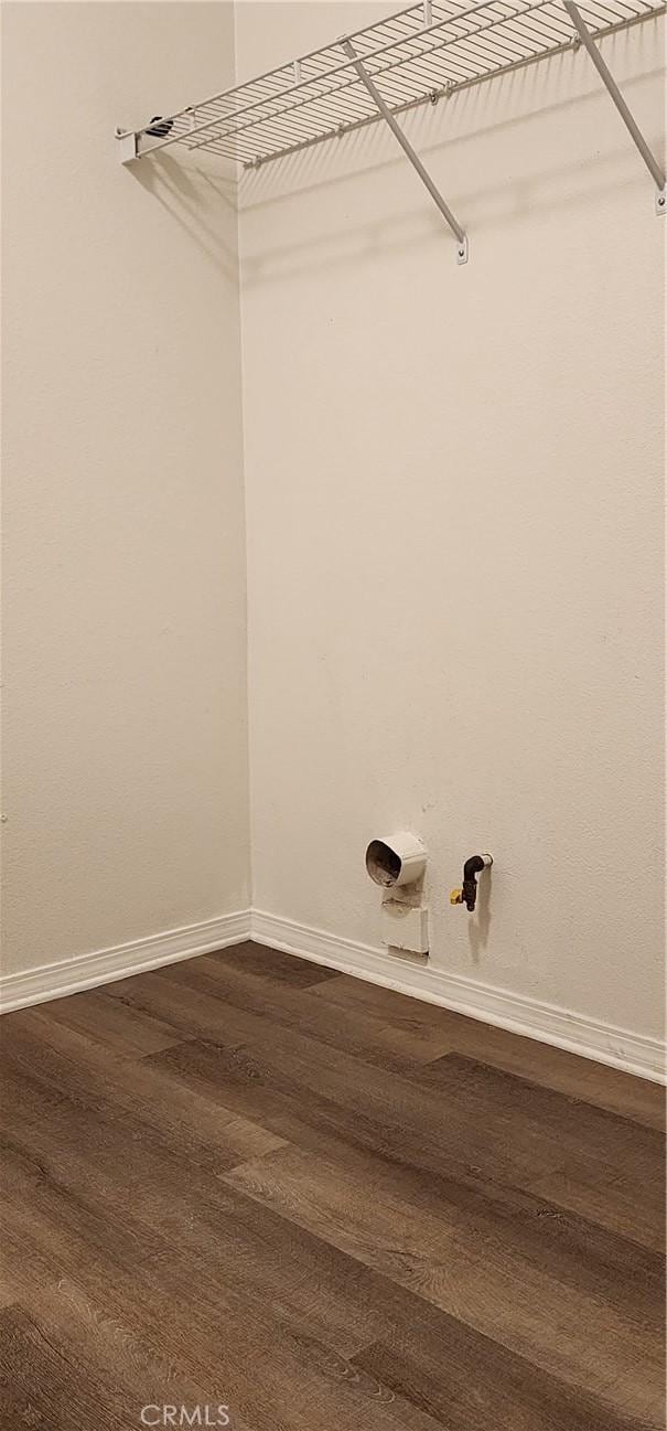 walk in closet featuring wood-type flooring