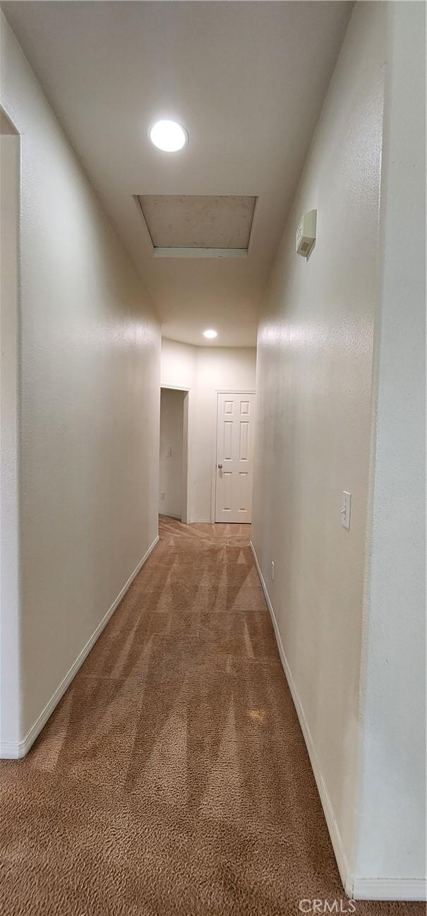 hallway with carpet flooring