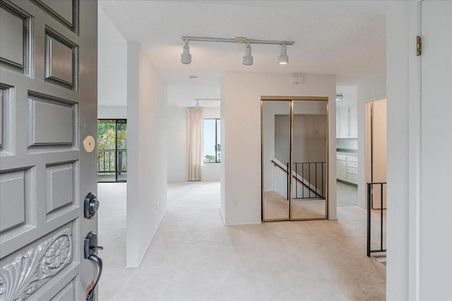 entrance foyer featuring rail lighting and light carpet