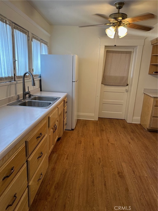 kitchen featuring sink, white fridge, light hardwood / wood-style floors, and ceiling fan