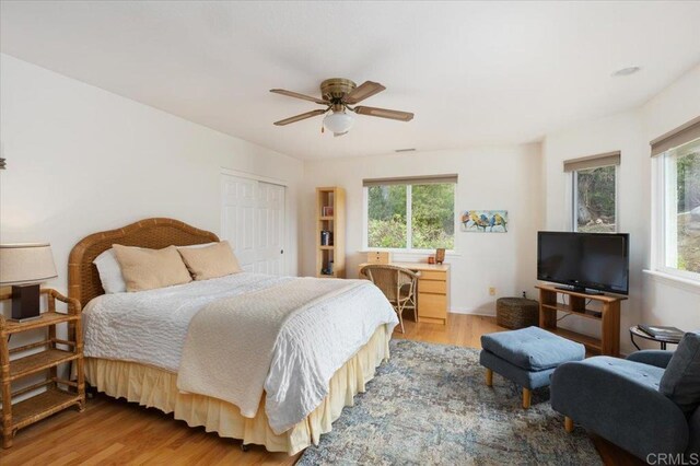 bedroom with a closet, light hardwood / wood-style floors, multiple windows, and ceiling fan