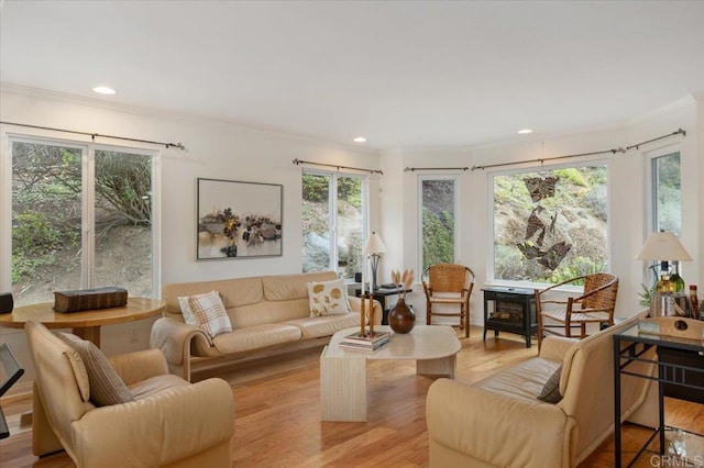 living room with light hardwood / wood-style floors and crown molding