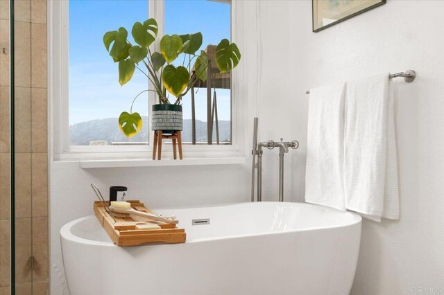 bathroom with a mountain view and a bathtub