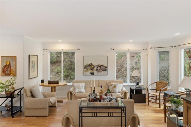 living room featuring light wood-type flooring, a wealth of natural light, and ornamental molding