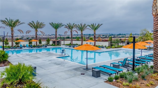 view of pool with a patio area