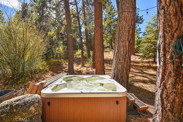 view of yard featuring a hot tub