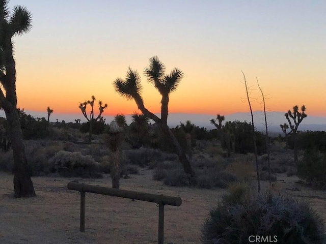 view of nature at dusk