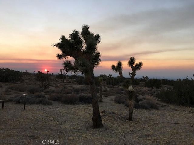 view of nature at dusk