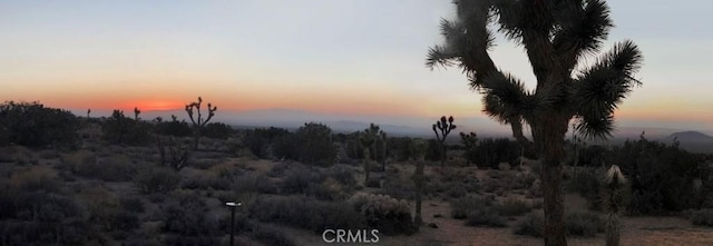 view of nature at dusk