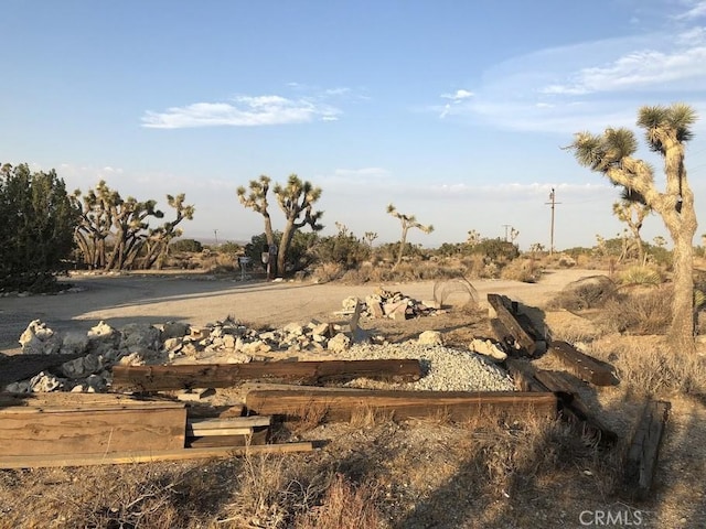 view of local wilderness