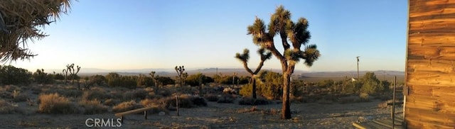 view of nature at dusk