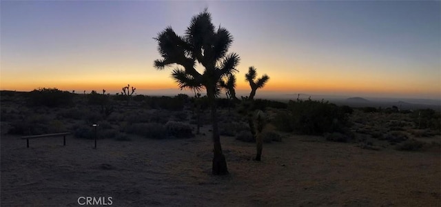 nature at dusk with a rural view