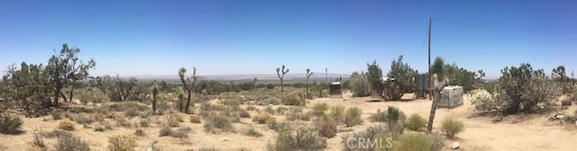 view of local wilderness featuring a rural view