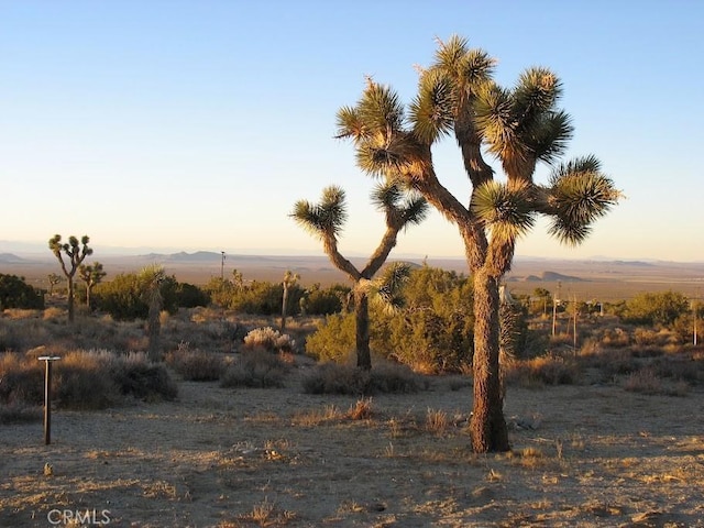 view of nature at dusk