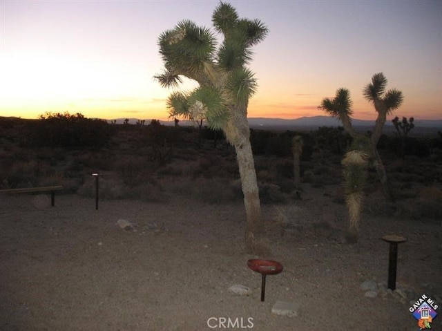 view of yard at dusk