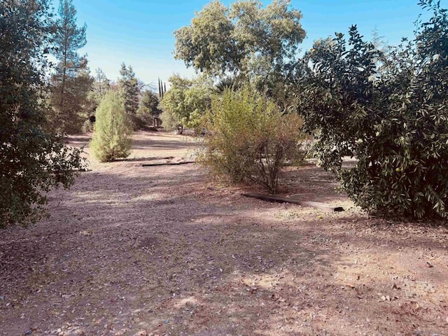 view of local wilderness featuring a rural view