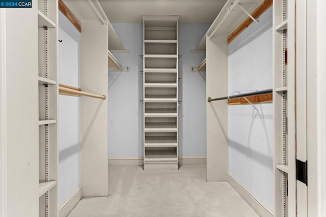 walk in closet featuring light colored carpet