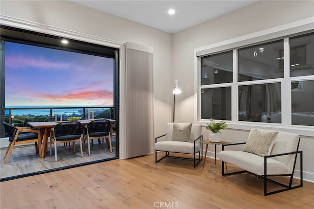 living area with light hardwood / wood-style floors