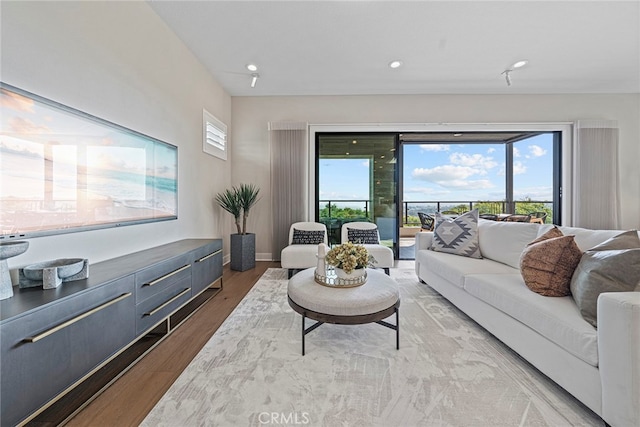 living room with light hardwood / wood-style floors