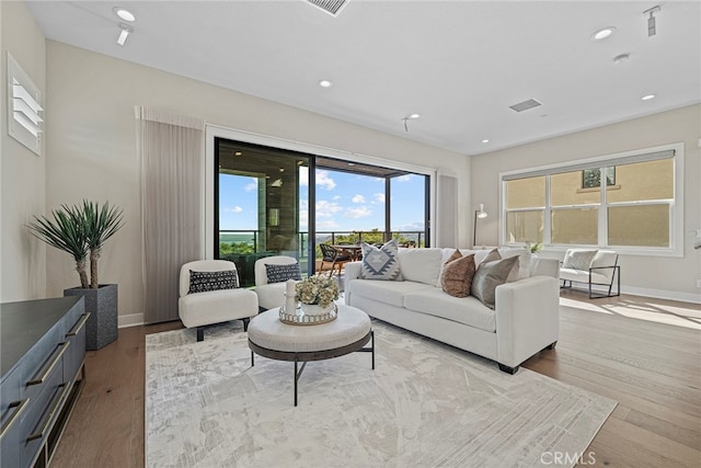 living room featuring light hardwood / wood-style flooring