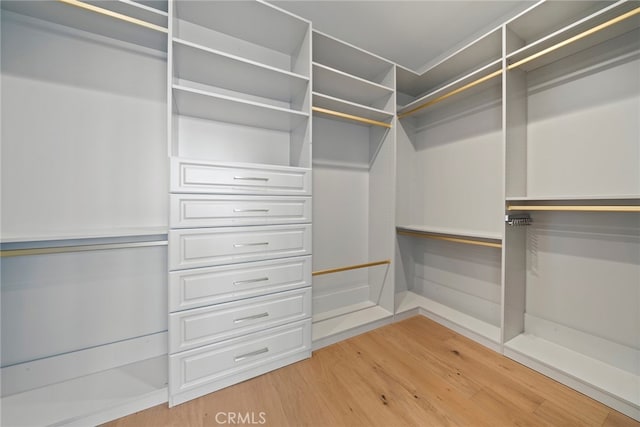 spacious closet featuring wood-type flooring