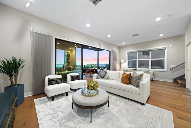 living room with wood-type flooring