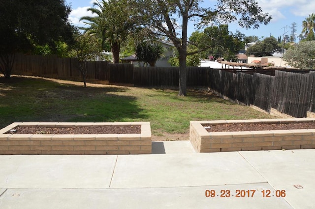 view of yard featuring a patio area