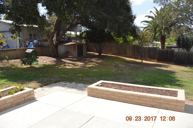 view of yard with a storage shed and a patio