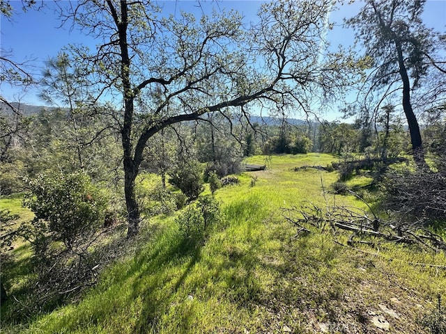 Listing photo 3 for 169 Shady Oak Dr, Oroville CA 95966