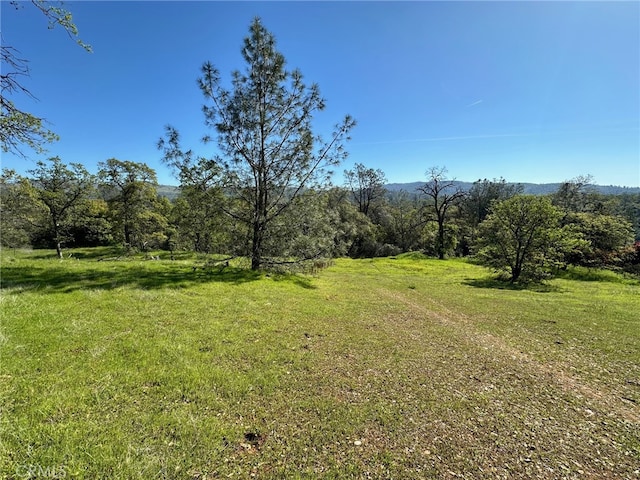 169 Shady Oak Dr, Oroville CA, 95966 land for sale