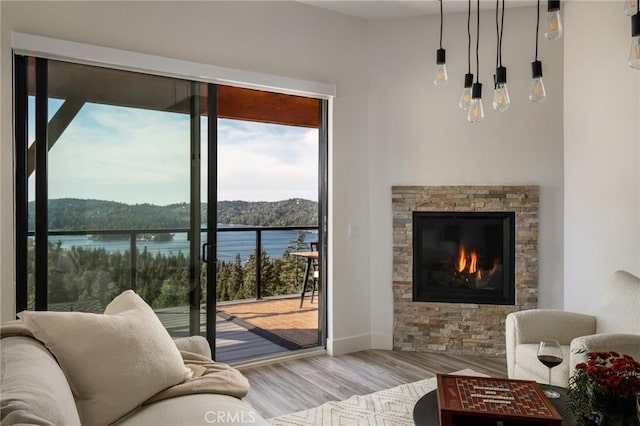 living room with a water view, a stone fireplace, and light hardwood / wood-style floors