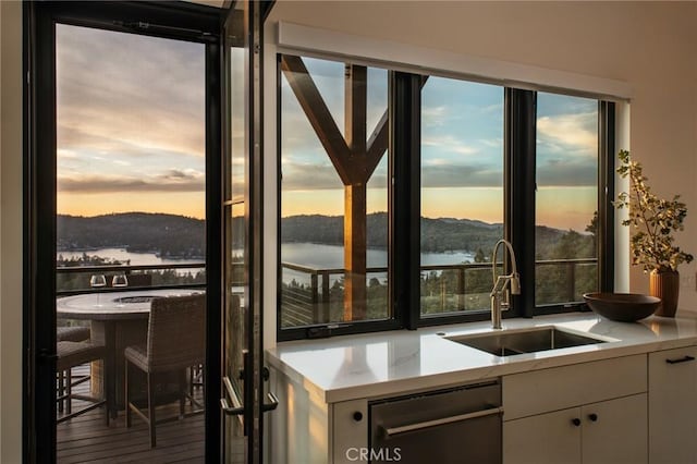 entryway featuring sink, a water view, and hardwood / wood-style flooring