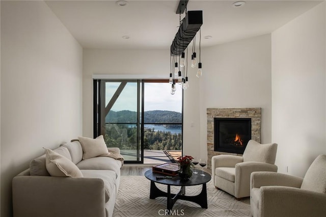 living room with a water view, light wood-type flooring, and a fireplace