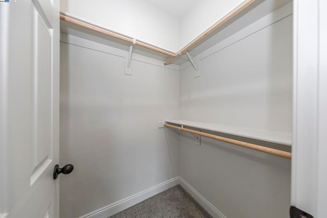 walk in closet featuring carpet floors