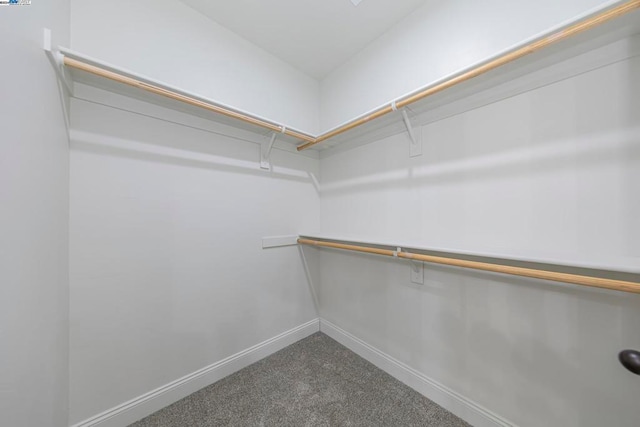 spacious closet featuring dark carpet