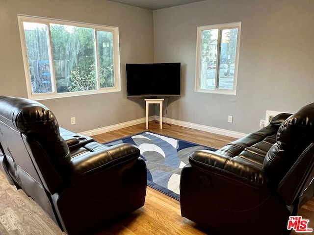 living room featuring light hardwood / wood-style flooring