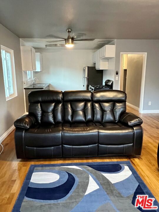 living room with ceiling fan and hardwood / wood-style flooring