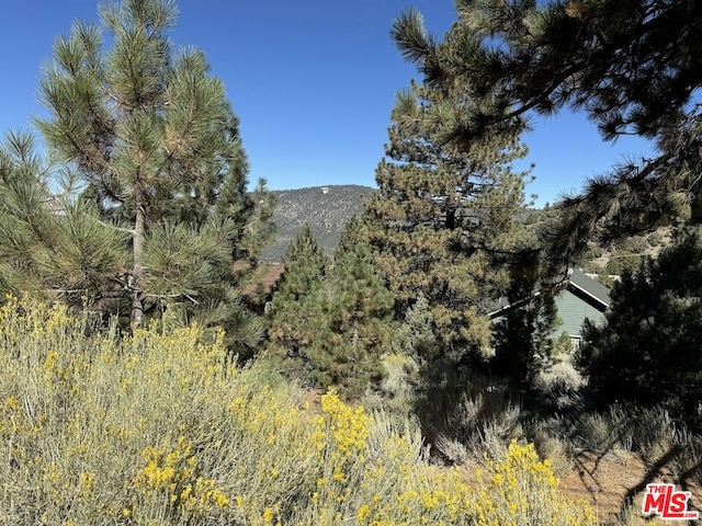 15113 Chestnut Dr, Pine Mountain Club CA, 93222 land for sale