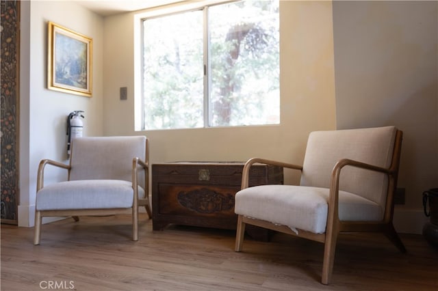 living area featuring light hardwood / wood-style floors