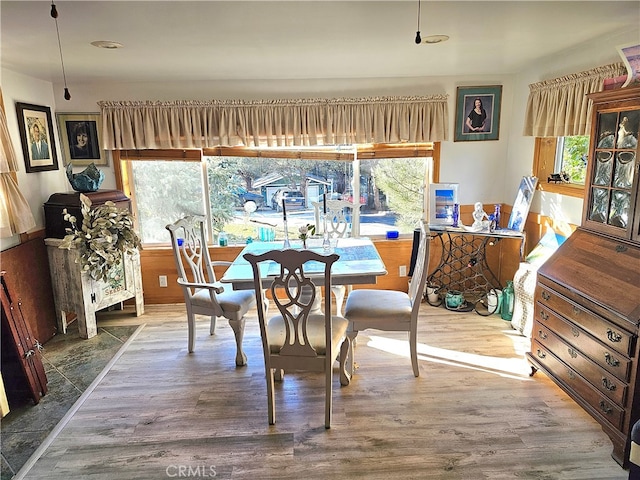 dining space featuring hardwood / wood-style flooring and a wealth of natural light