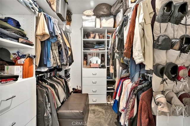 walk in closet featuring carpet