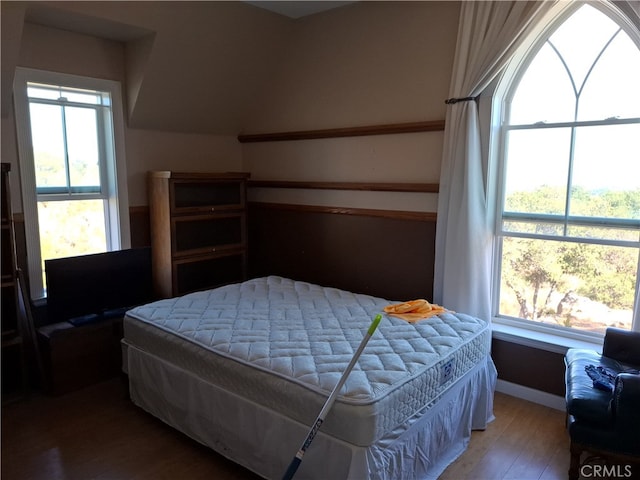 bedroom featuring multiple windows and hardwood / wood-style floors