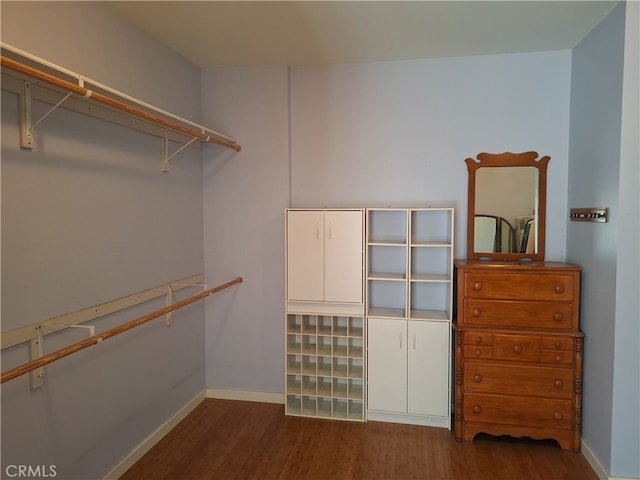 walk in closet with wood-type flooring