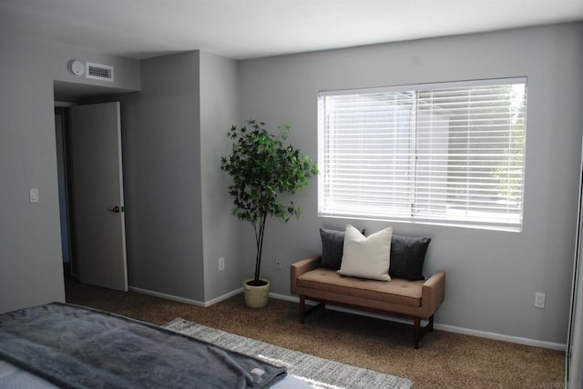 sitting room with carpet