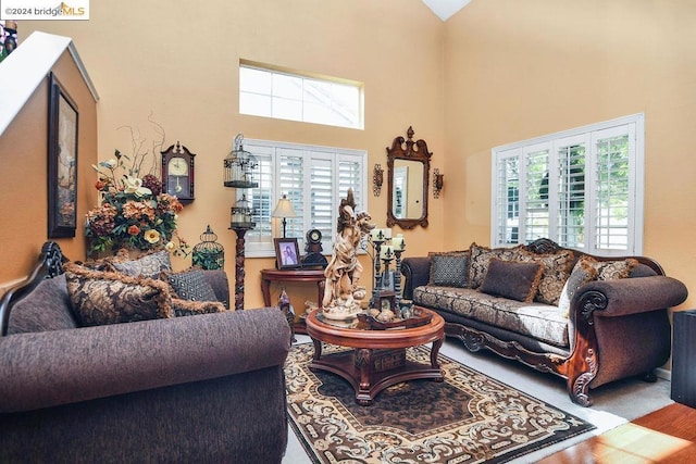 living room featuring a towering ceiling