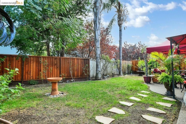 view of yard featuring a patio area