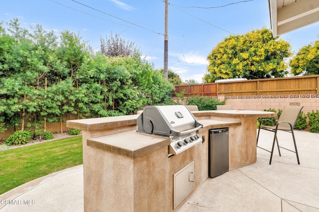 view of patio / terrace with an outdoor kitchen and a grill